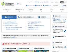 Tablet Screenshot of caa.go.jp